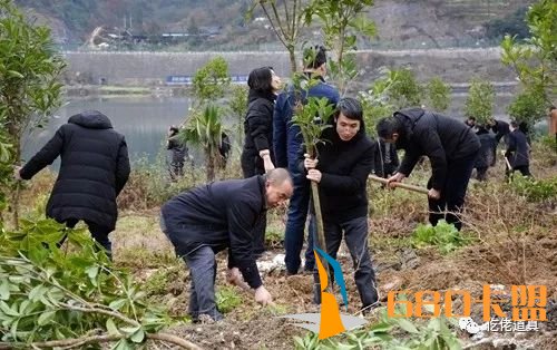 绝地求生和平精英免费透视辅助春寒料峭植树忙|道真开展春季义务植树活动